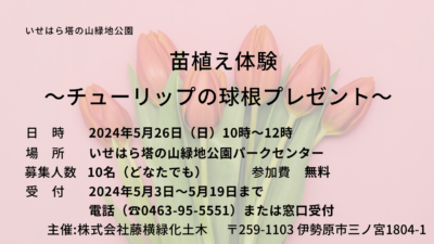 「苗植え体験」の開催について